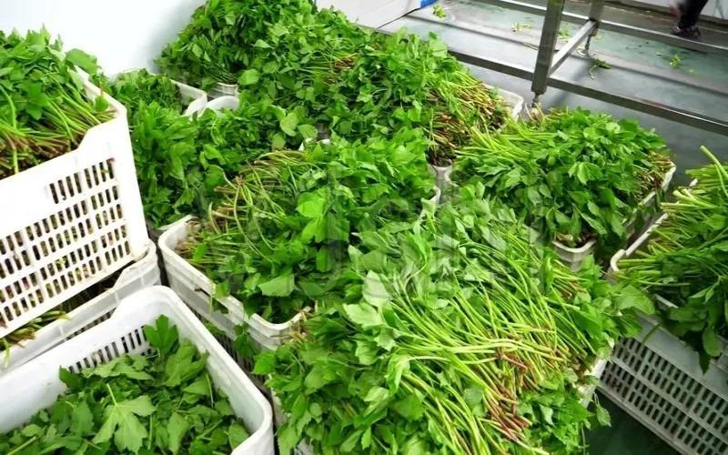 小作坊加工項目有哪些類型？家庭小作坊致富項目推薦