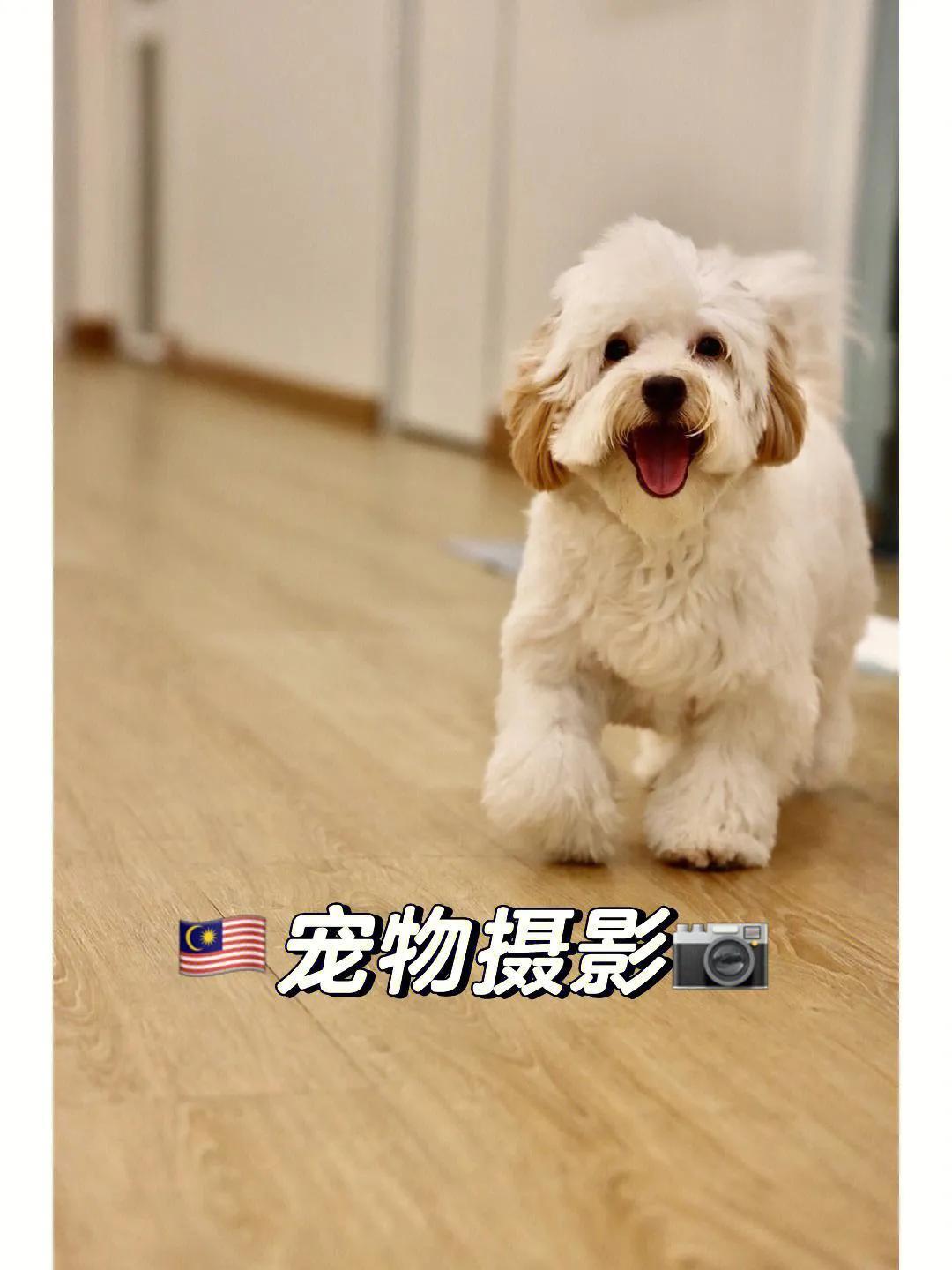 個(gè)人小成本創(chuàng)業(yè)項(xiàng)目有哪些？20個(gè)低成本創(chuàng)業(yè)項(xiàng)目推薦
