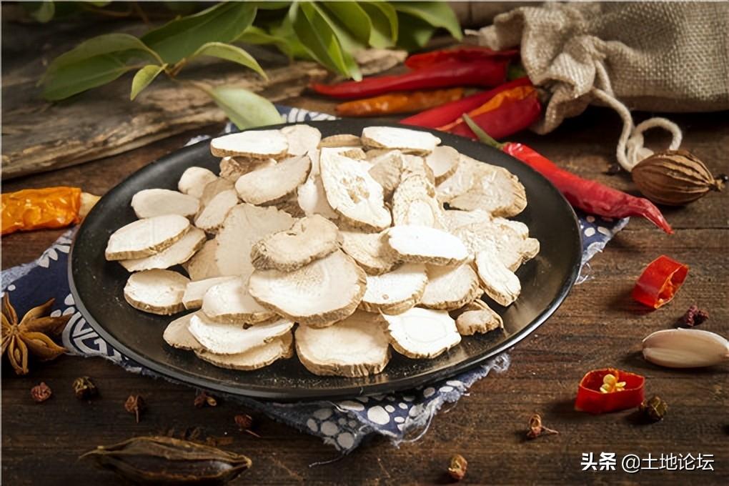 種植什么藥材掙錢多？種植藥材創業項目有哪些？