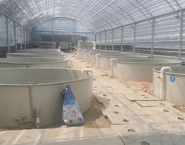 養殖業什么賺錢？十大暴利水產養殖項目推薦