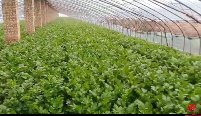 大潤發供應商b2b服務系統（解析大潤發生鮮供應鏈優勢）