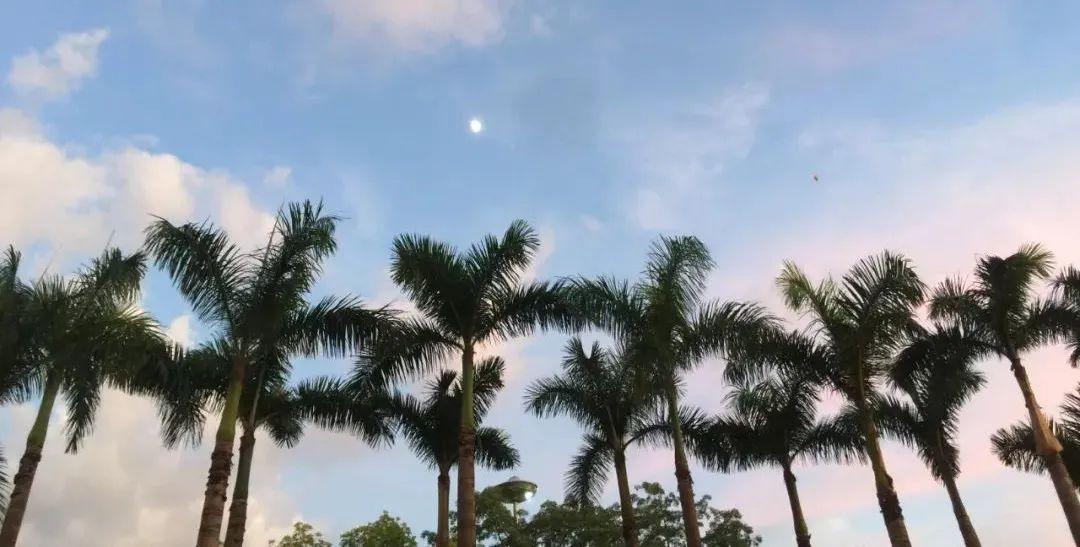 女生快速掙錢(qián)的方法？適合女生快速賺錢(qián)的三種行業(yè)