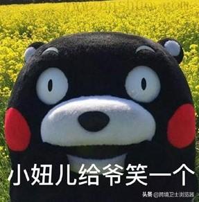 wish跨境電商平臺官網（wish跨境電商的優勢及特點）