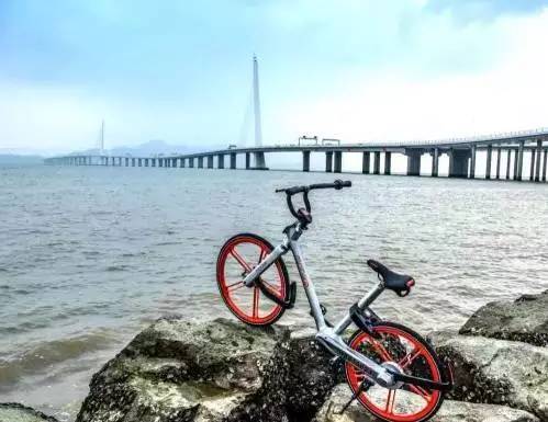 優(yōu)拜單車怎么收費(fèi)（優(yōu)拜單車介紹及現(xiàn)狀分析）