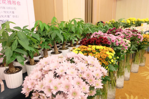 花集網登錄（花集網接單流程及方式）
