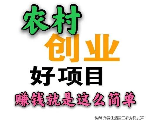 窮人致富項目種值（農村種植創業項目排行榜前十名）