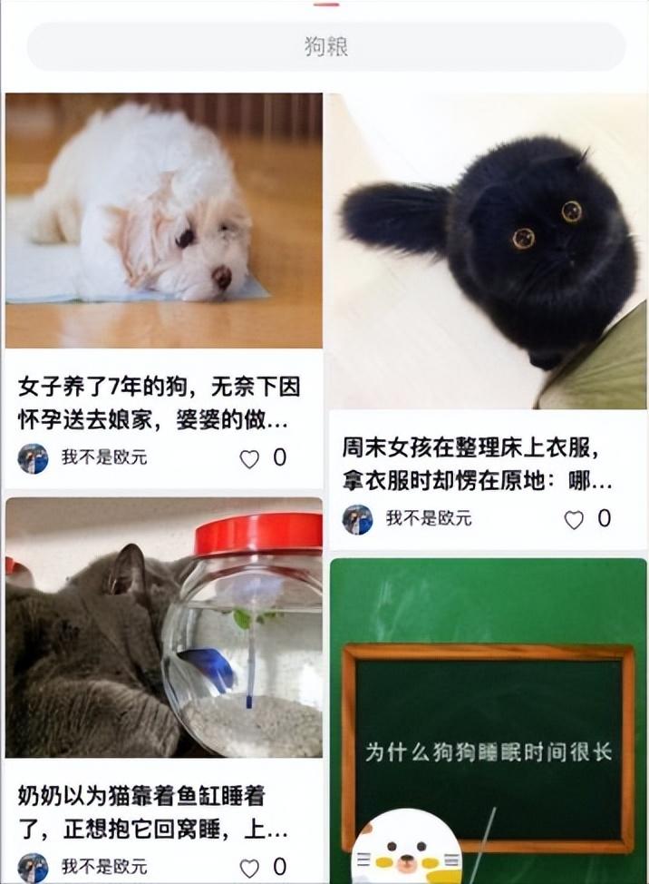 寵物平臺有哪些？線上寵物交易平臺排行榜前十