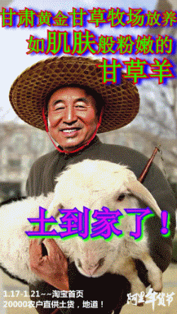 年貨節(jié)宣傳文案怎么寫？淘寶年貨節(jié)促銷方案模板大全