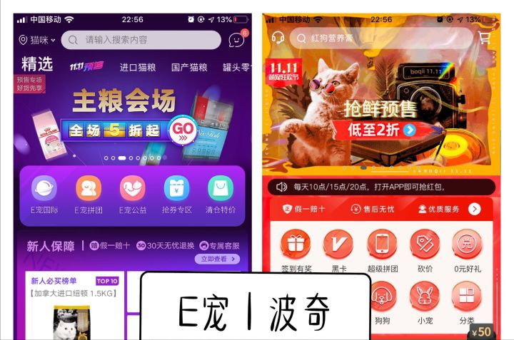 寵物平臺有哪些？線上寵物交易平臺排行榜前十