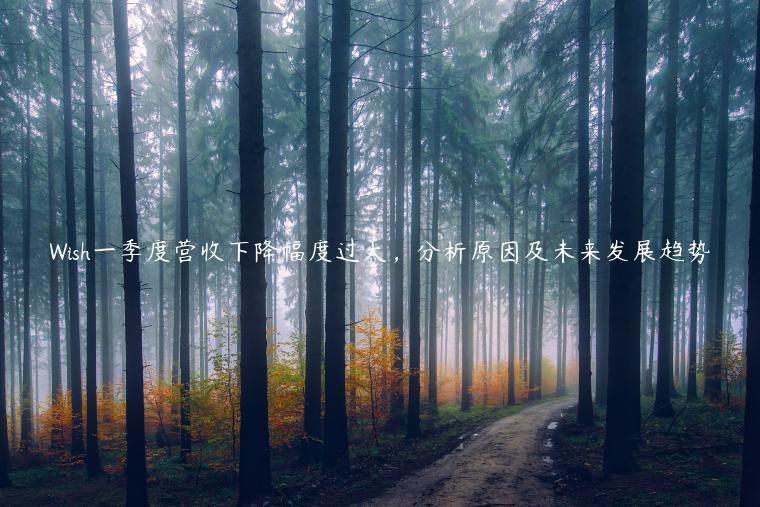 Wish一季度營(yíng)收下降幅度過(guò)大，分析原因及未來(lái)發(fā)展趨勢(shì)