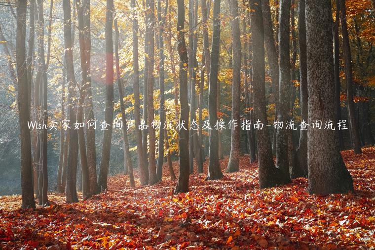 Wish賣家如何查詢產品物流狀態及操作指南-物流查詢流程