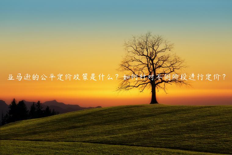 亞馬遜的公平定價政策是什么？如何針對不同階段進行定價？