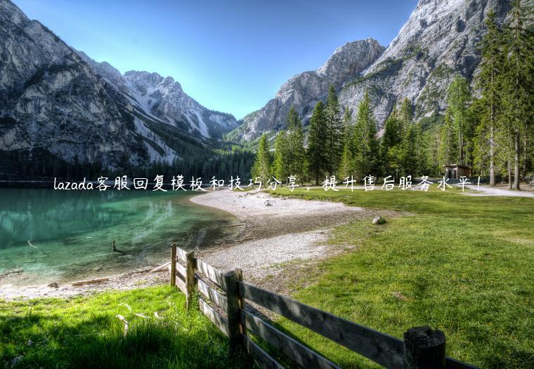 lazada客服回復(fù)模板和技巧分享，提升售后服務(wù)水平！