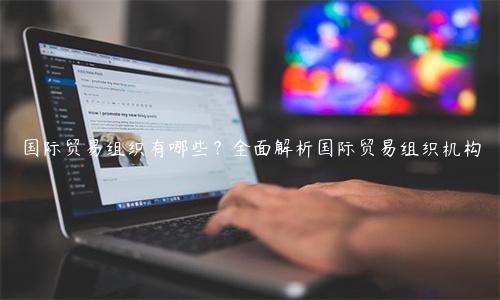 國際貿易組織有哪些？全面解析國際貿易組織機構