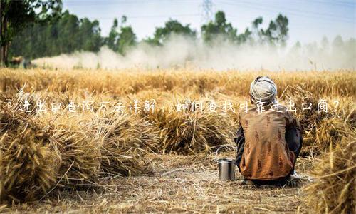 進出口查詢方法詳解：如何查找可靠進出口商？