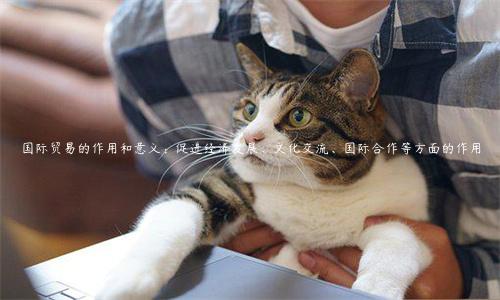 國際貿易的作用和意義：促進經濟發展、文化交流、國際合作等方面的作用