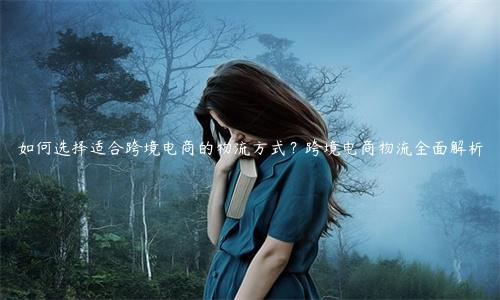 如何選擇適合跨境電商的物流方式？跨境電商物流全面解析