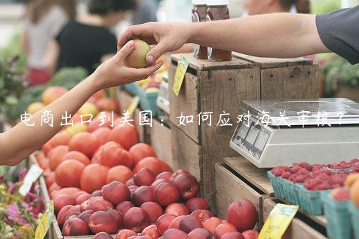 電商出口到美國：如何應對海關(guān)審核？