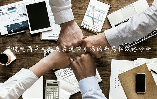 跨境電商巨頭蝦皮在進(jìn)口市場的布局和戰(zhàn)略分析