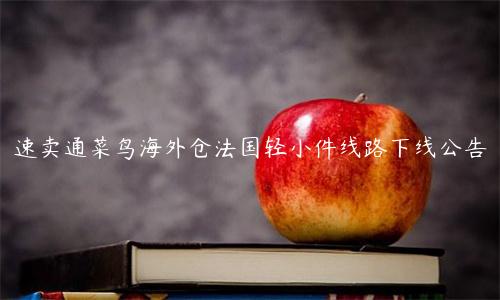 速賣通菜鳥海外倉法國輕小件線路下線公告