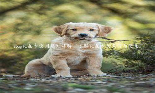 ebay禮品卡使用規則詳解，了解禮品卡的來源與使用！
