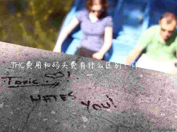 THC費用和碼頭費有什么區別？詳細解析