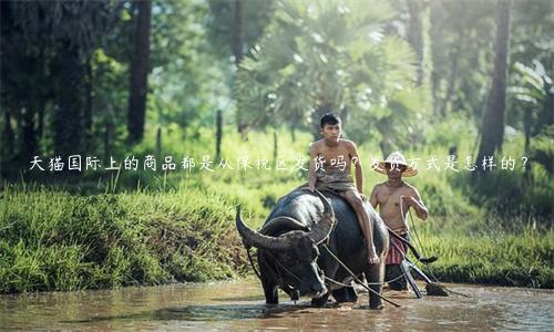 天貓國際上的商品都是從保稅區(qū)發(fā)貨嗎？發(fā)貨方式是怎樣的？