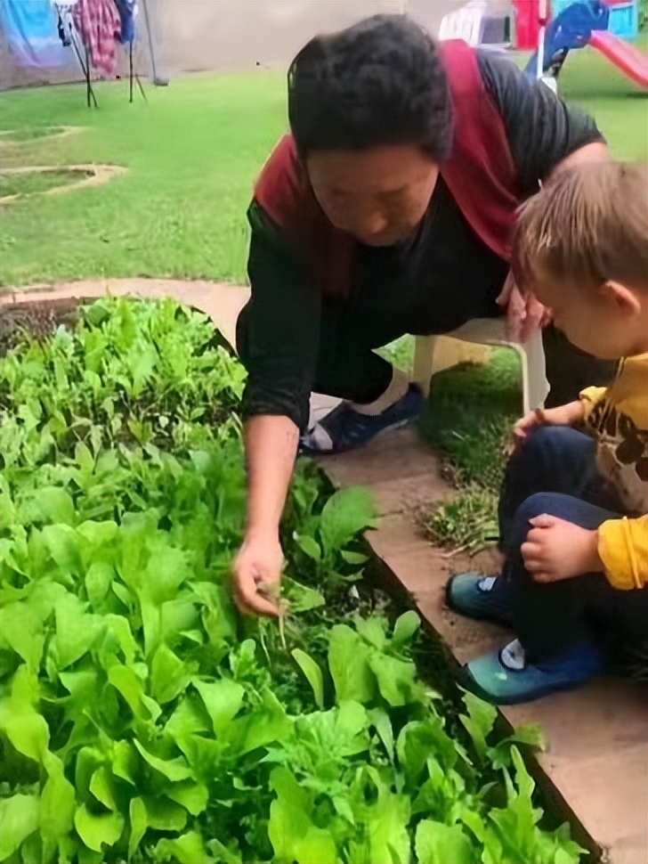 抖音網紅澳洲楊姐近況如何？揭秘澳洲楊姐回國真實原因