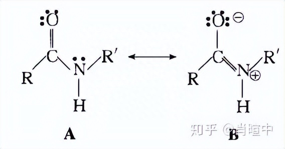 有機化學種共振式是什么意思？詳解共振式書寫規則