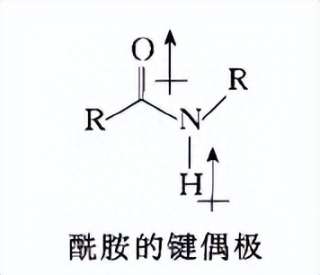 有機化學種共振式是什么意思？詳解共振式書寫規則